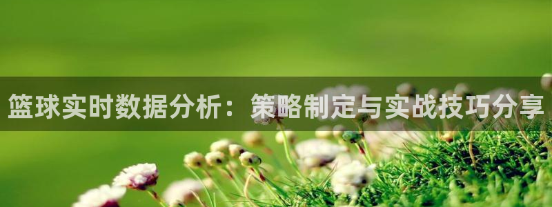 篮球实时数据分析：策略制定与实战技巧分享
