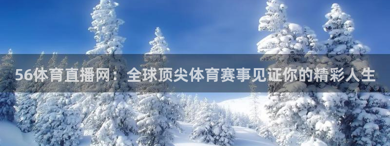 56体育直播网：全球顶尖体育赛事见证你的精彩人生