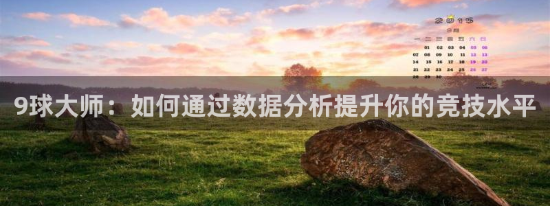 9球大师：如何通过数据分析提升你的竞技水平