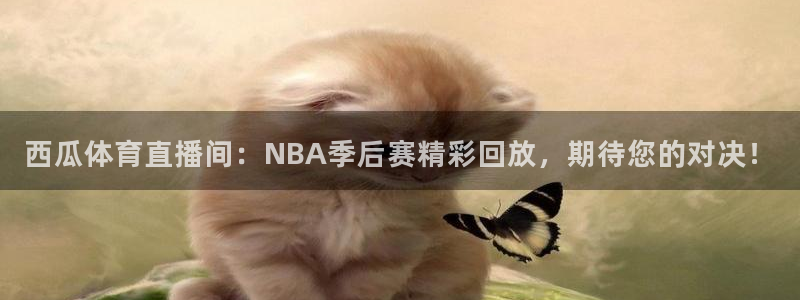 西瓜体育直播间：NBA季后赛精彩回放，期待您的对决！
