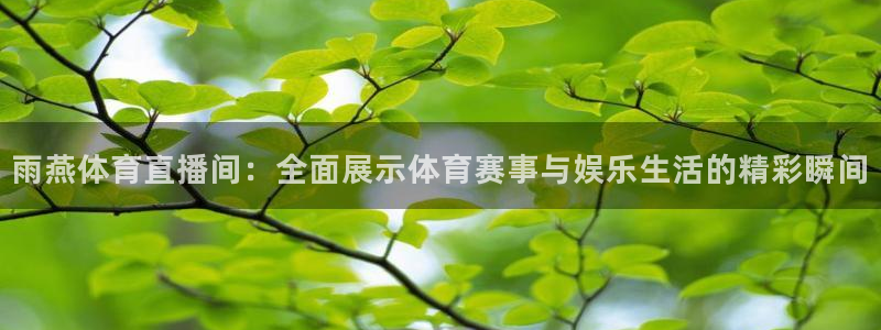 雨燕体育直播间：全面展示体育赛事与娱乐生活的精彩瞬间