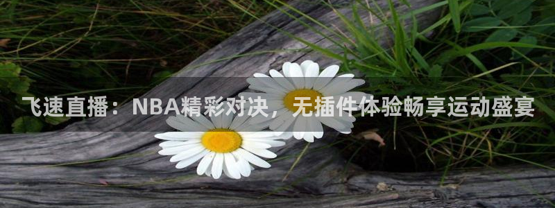 飞速直播：NBA精彩对决，无插件体验畅享运动盛宴