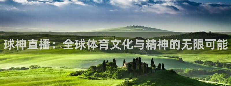 球神直播：全球体育文化与精神的无限可能