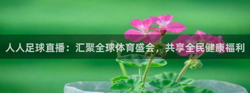 人人足球直播：汇聚全球体育盛会，共享全民健康福利