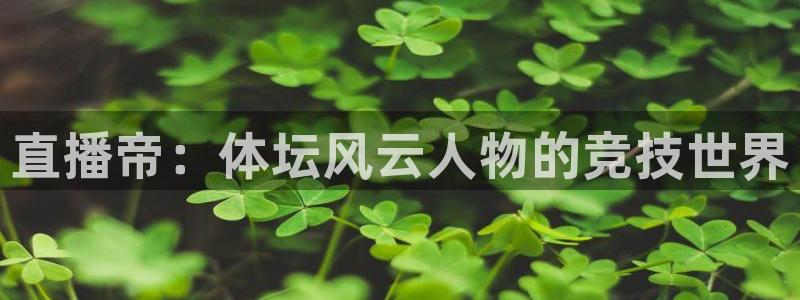 直播帝：体坛风云人物的竞技世界