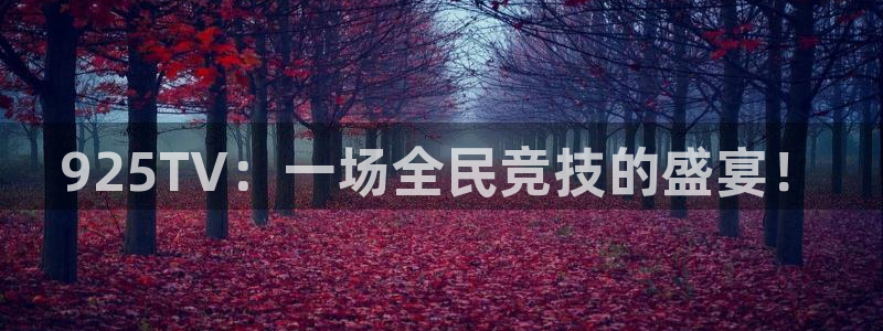 925TV：一场全民竞技的盛宴！