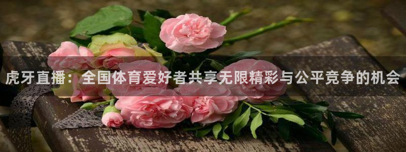 虎牙直播：全国体育爱好者共享无限精彩与公平竞争的机会