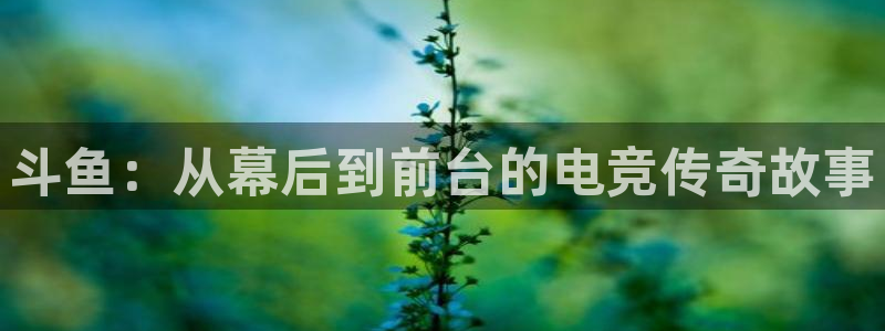 斗鱼：从幕后到前台的电竞传奇故事