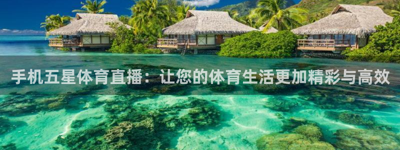 手机五星体育直播：让您的体育生活更加精彩与高效