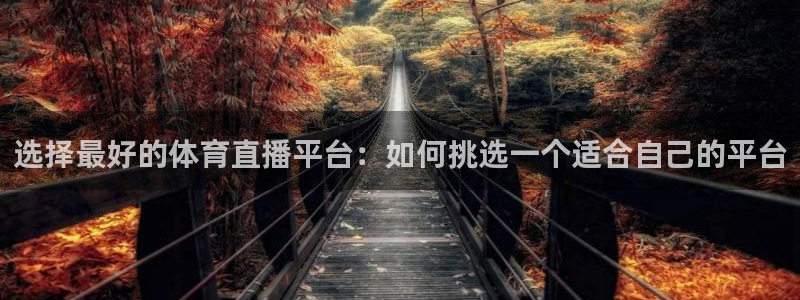 选择最好的体育直播平台：如何挑选一个适合自己的平台