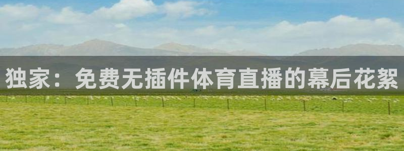 独家：免费无插件体育直播的幕后花絮