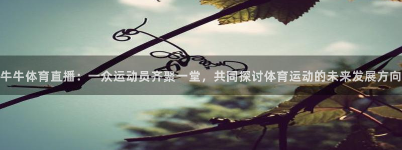 牛牛体育直播：一众运动员齐聚一堂，共同探讨体育运动的未来发展方向