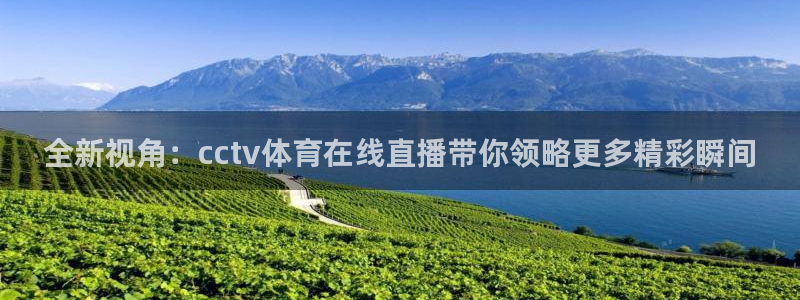 全新视角：cctv体育在线直播带你领略更多精彩瞬间