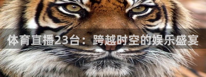 体育直播23台：跨越时空的娱乐盛宴