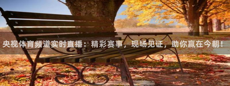 央视体育频道实时直播：精彩赛事，现场见证，助你赢在今朝！