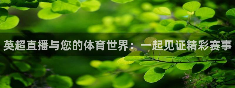 英超直播与您的体育世界：一起见证精彩赛事