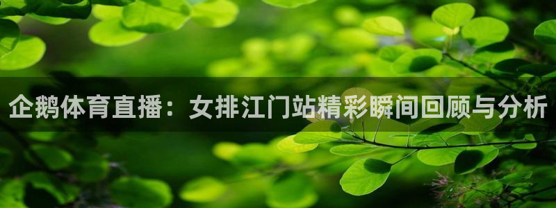 企鹅体育直播：女排江门站精彩瞬间回顾与分析