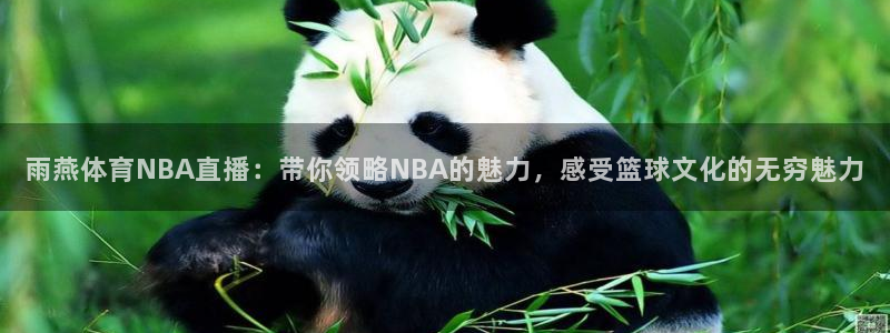 雨燕体育NBA直播：带你领略NBA的魅力，感受篮球文化的无穷魅力