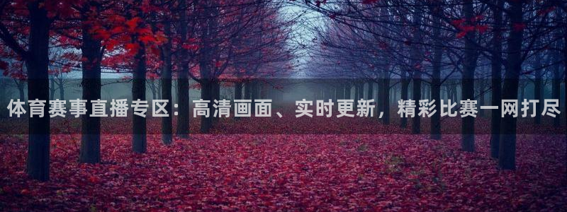 体育赛事直播专区：高清画面、实时更新，精彩比赛一网打尽