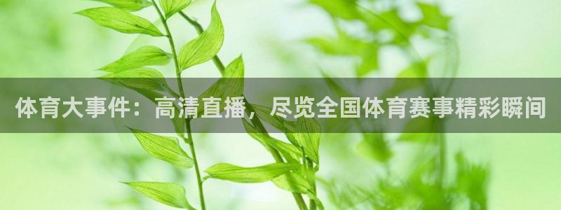 体育大事件：高清直播，尽览全国体育赛事精彩瞬间