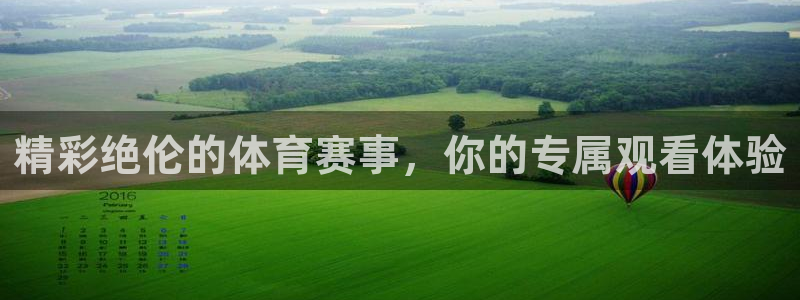 精彩绝伦的体育赛事，你的专属观看体验
