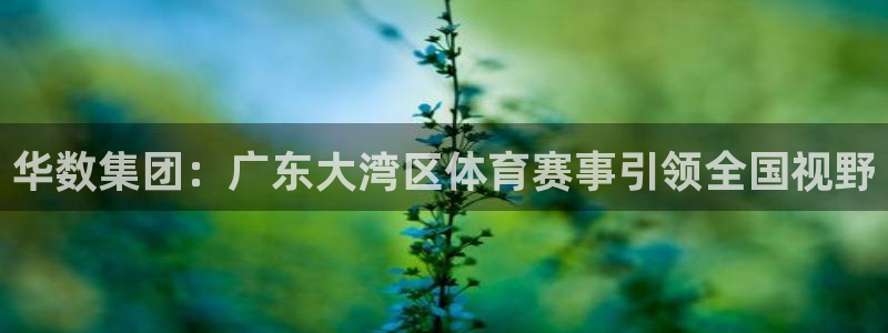 华数集团：广东大湾区体育赛事引领全国视野