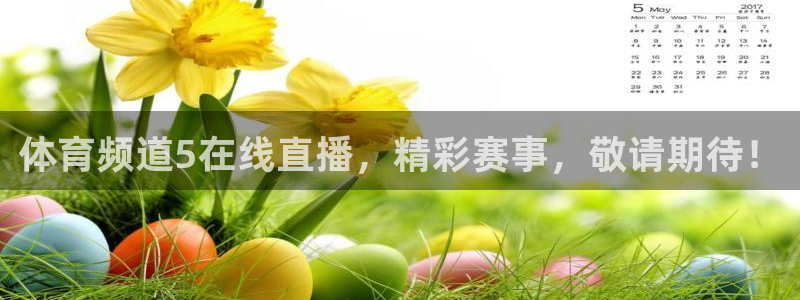 体育频道5在线直播，精彩赛事，敬请期待！