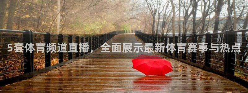 5套体育频道直播，全面展示最新体育赛事与热点