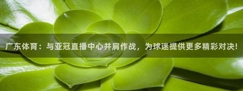 广东体育：与亚冠直播中心并肩作战，为球迷提供更多精彩对决!