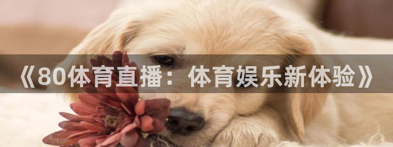 《80体育直播：体育娱乐新体验》