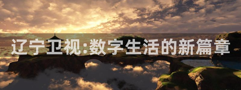 辽宁卫视:数字生活的新篇章