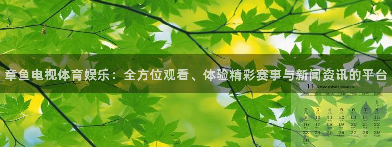 章鱼电视体育娱乐：全方位观看、体验精彩赛事与新闻资讯的平台
