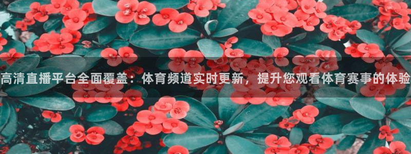 高清直播平台全面覆盖：体育频道实时更新，提升您观看体育赛事的体验