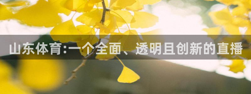 山东体育:一个全面、透明且创新的直播